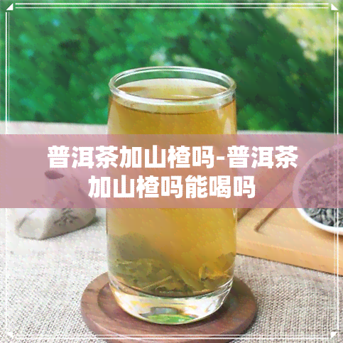 普洱茶加山楂吗-普洱茶加山楂吗能喝吗