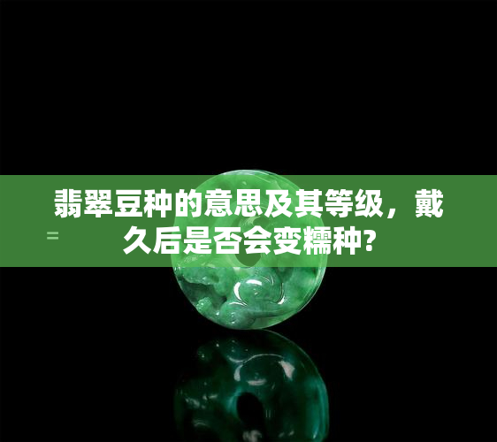 翡翠豆种的意思及其等级，戴久后是否会变糯种?