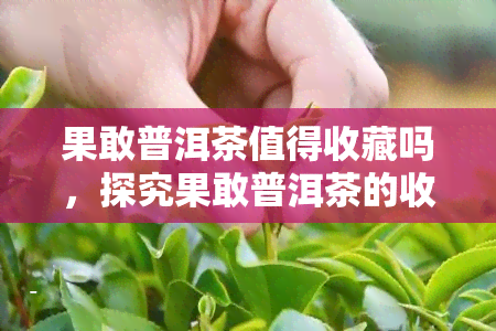 果敢普洱茶值得收藏吗，探究果敢普洱茶的收藏价值