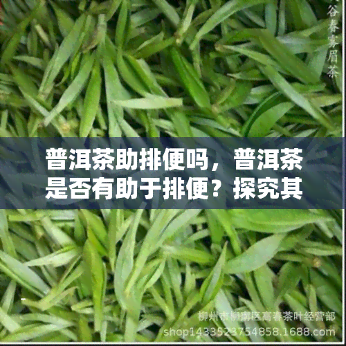 普洱茶助排便吗，普洱茶是否有助于排便？探究其科学原理与效果