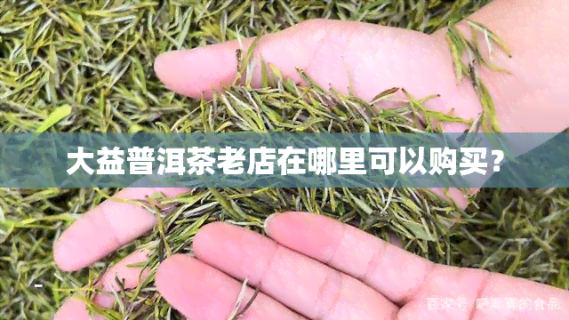 大益普洱茶老店在哪里可以购买？