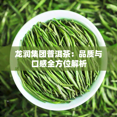 龙润集团普洱茶：品质与口感全方位解析