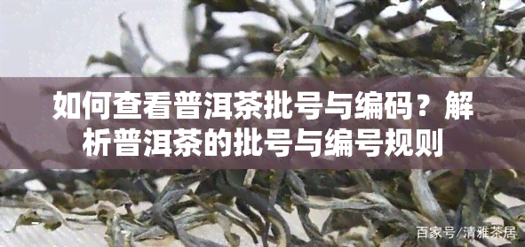 如何查看普洱茶批号与编码？解析普洱茶的批号与编号规则