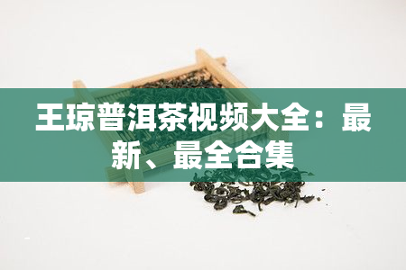 王琼普洱茶视频大全：最新、最全合集
