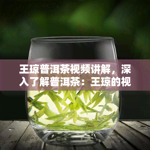 王琼普洱茶视频讲解，深入了解普洱茶：王琼的视频讲解