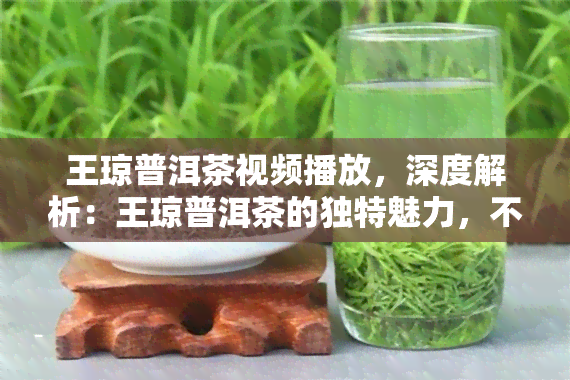 王琼普洱茶视频播放，深度解析：王琼普洱茶的独特魅力，不容错过的精彩视频播放！