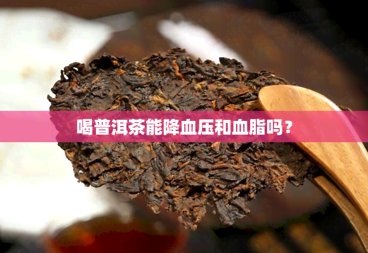 喝普洱茶能降血压和血脂吗？