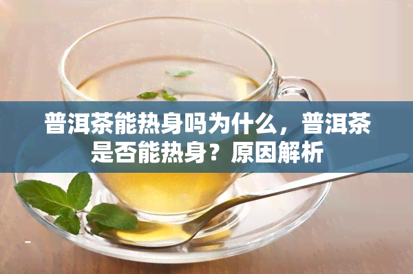 普洱茶能热身吗为什么，普洱茶是否能热身？原因解析