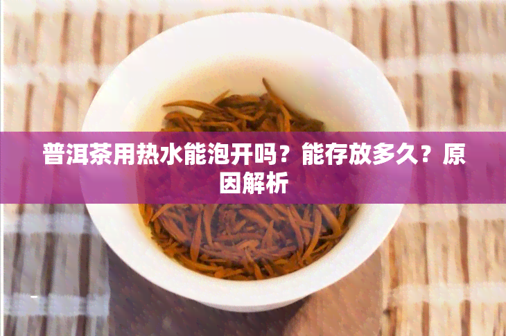 普洱茶用热水能泡开吗？能存放多久？原因解析