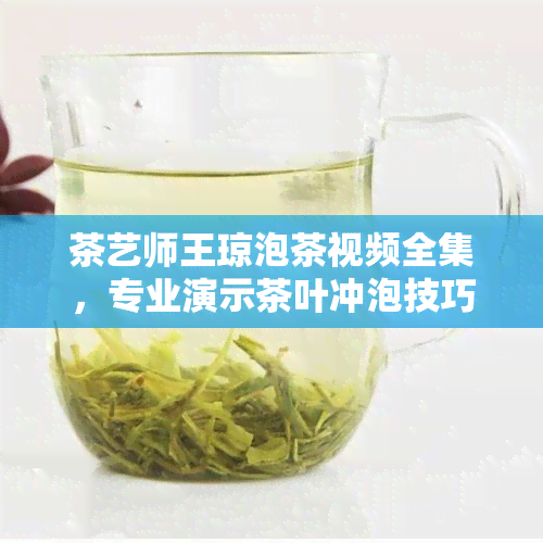 茶艺师王琼泡茶视频全集，专业演示茶叶冲泡技巧