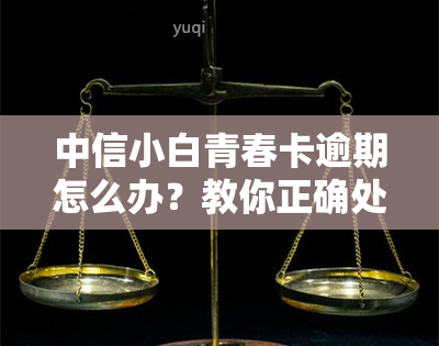 中信小白青春卡逾期怎么办？教你正确处理方法！