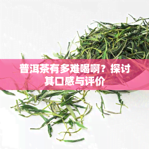 普洱茶有多难喝啊？探讨其口感与评价