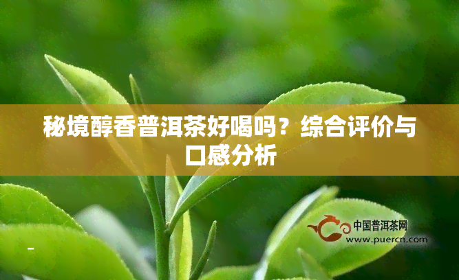 秘境醇香普洱茶好喝吗？综合评价与口感分析