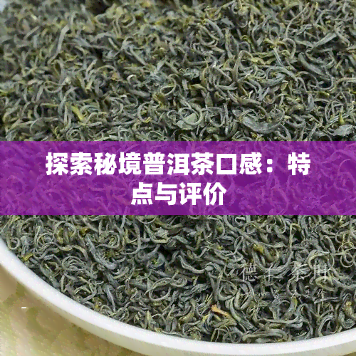 探索秘境普洱茶口感：特点与评价