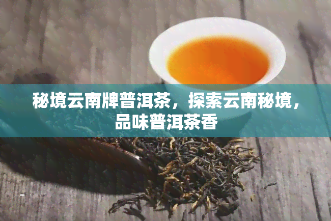 秘境云南牌普洱茶，探索云南秘境，品味普洱茶香