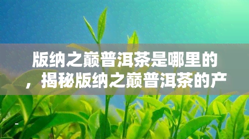 版纳之巅普洱茶是哪里的，揭秘版纳之巅普洱茶的产地