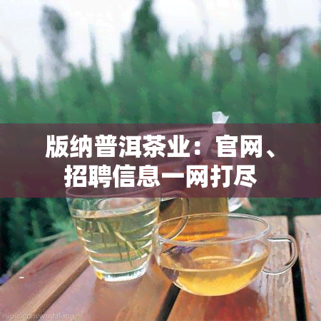 版纳普洱茶业：官网、招聘信息一网打尽