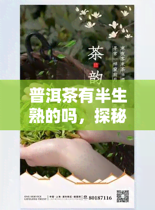 普洱茶有半生熟的吗，探秘普洱茶：是否存在半生熟的品种？