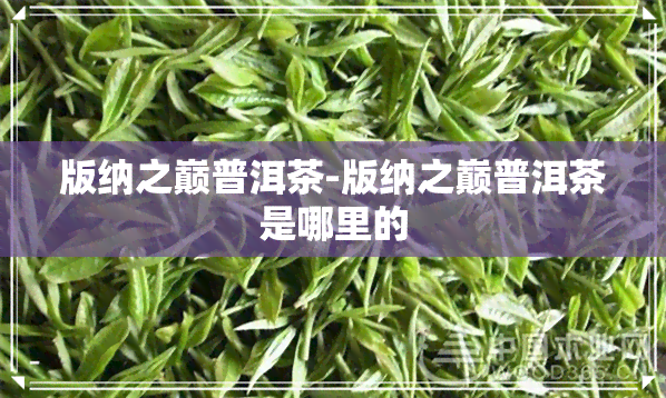 版纳之巅普洱茶-版纳之巅普洱茶是哪里的