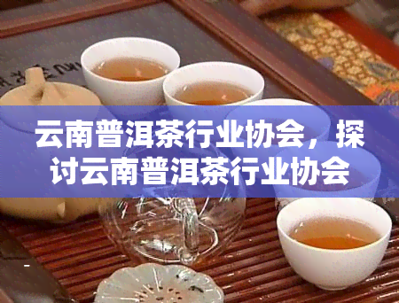 云南普洱茶行业协会，探讨云南普洱茶行业协会在推动产业发展中的作用与影响