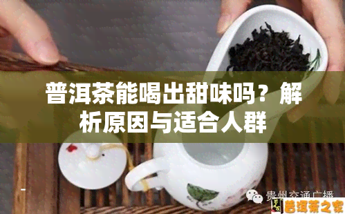 普洱茶能喝出甜味吗？解析原因与适合人群