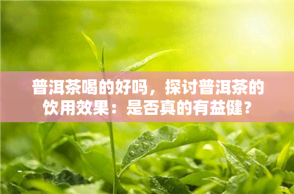 普洱茶喝的好吗，探讨普洱茶的饮用效果：是否真的有益健？