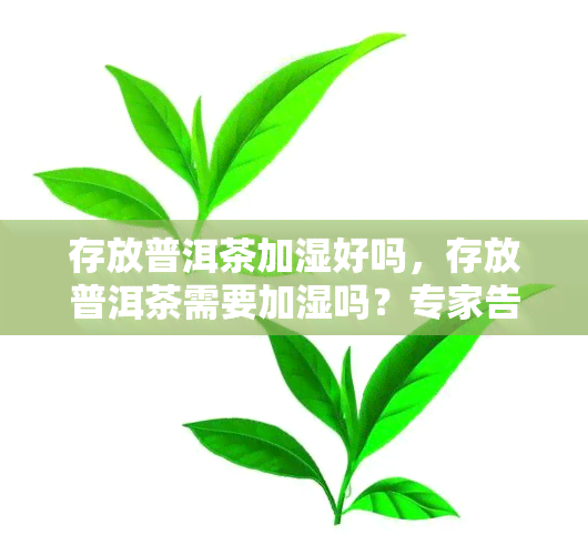 存放普洱茶加湿好吗，存放普洱茶需要加湿吗？专家告诉你答案