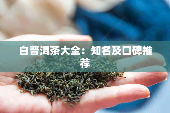 白普洱茶大全：知名及口碑推荐