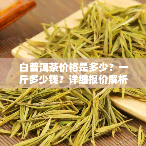 白普洱茶价格是多少？一斤多少钱？详细报价解析