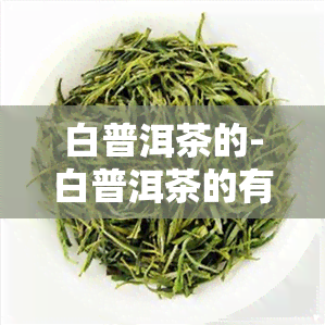 白普洱茶的-白普洱茶的有哪些