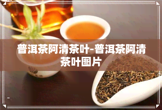 普洱茶阿清茶叶-普洱茶阿清茶叶图片