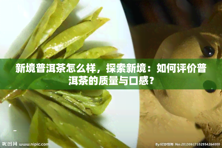 新境普洱茶怎么样，探索新境：如何评价普洱茶的质量与口感？