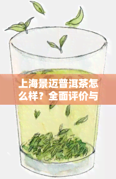 上海景迈普洱茶怎么样？全面评价与分享