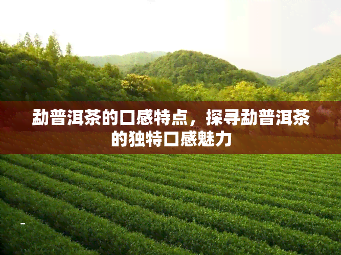 勐普洱茶的口感特点，探寻勐普洱茶的独特口感魅力