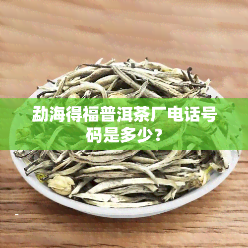 勐海得福普洱茶厂电话号码是多少？