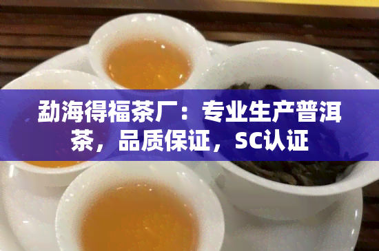 勐海得福茶厂：专业生产普洱茶，品质保证，SC认证