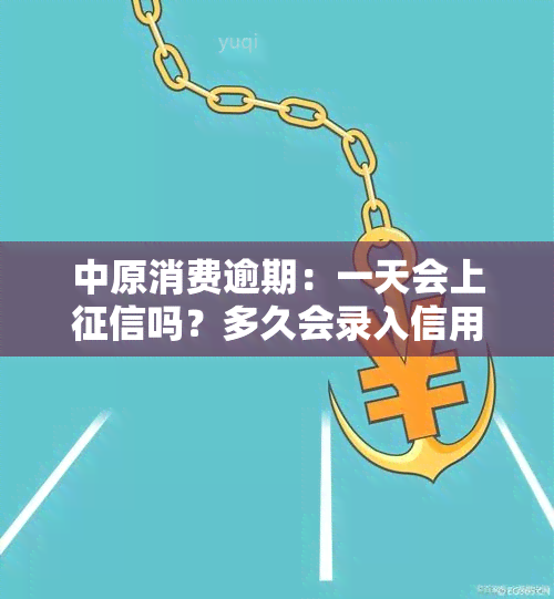 中原消费逾期：一天会上吗？多久会录入信用记录？