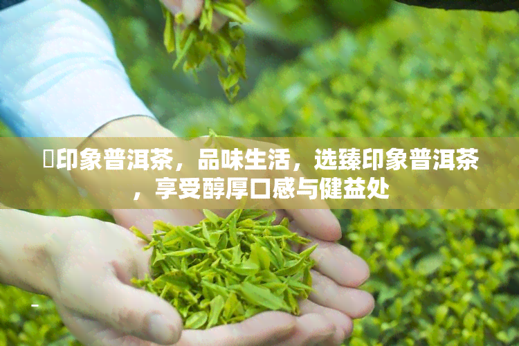 瑧印象普洱茶，品味生活，选臻印象普洱茶，享受醇厚口感与健益处