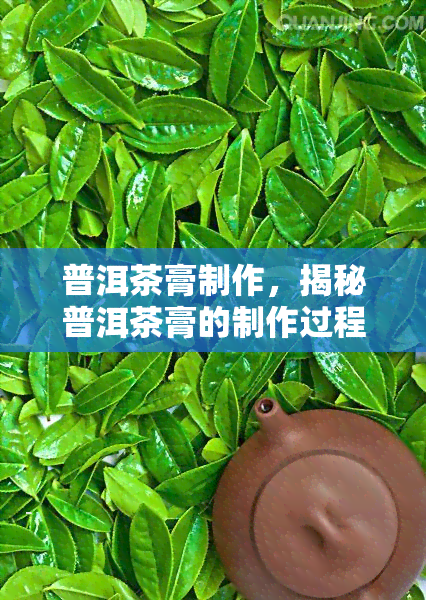 普洱茶膏制作，揭秘普洱茶膏的制作过程：从茶叶到茶膏的神奇转变