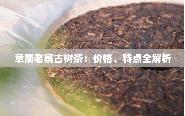 章朗老寨古树茶：价格、特点全解析