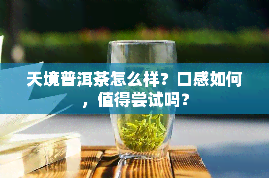 天境普洱茶怎么样？口感如何，值得尝试吗？