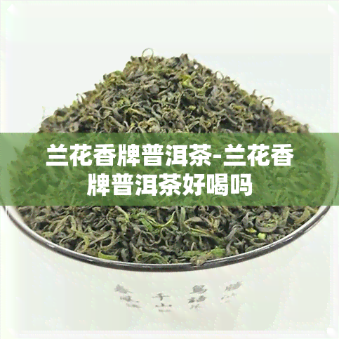 兰花香牌普洱茶-兰花香牌普洱茶好喝吗