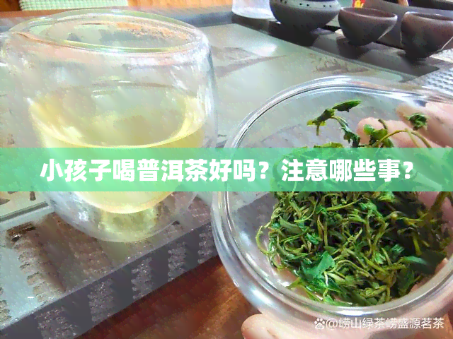 小孩子喝普洱茶好吗？注意哪些事？