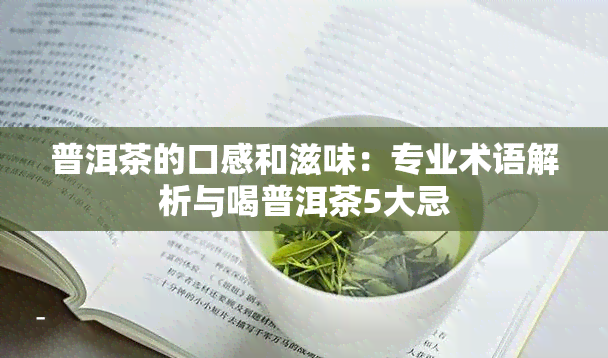 普洱茶的口感和滋味：专业术语解析与喝普洱茶5大忌