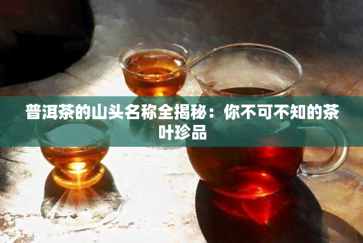 普洱茶的山头名称全揭秘：你不可不知的茶叶珍品