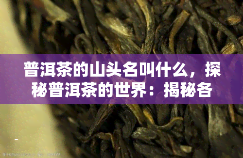 普洱茶的山头名叫什么，探秘普洱茶的世界：揭秘各山头的独特韵味