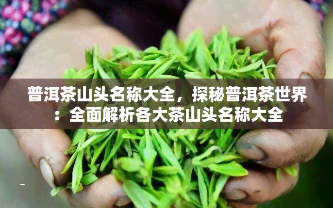 普洱茶山头名称大全，探秘普洱茶世界：全面解析各大茶山头名称大全