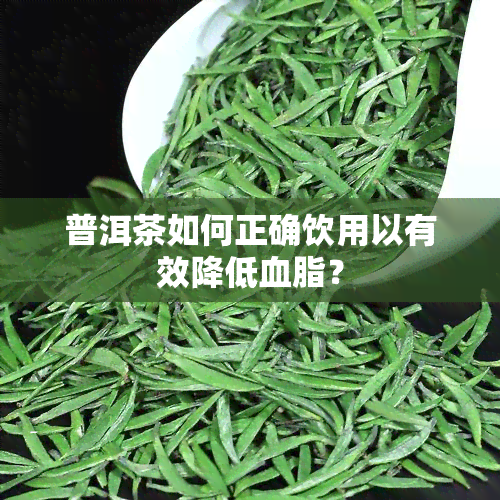 普洱茶如何正确饮用以有效降低血脂？