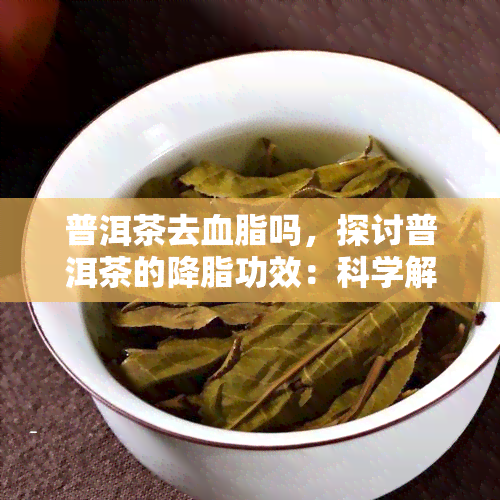 普洱茶去血脂吗，探讨普洱茶的降脂功效：科学解析普洱茶是否能帮助降低血脂水平