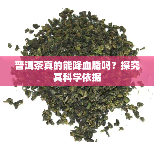 普洱茶真的能降血脂吗？探究其科学依据